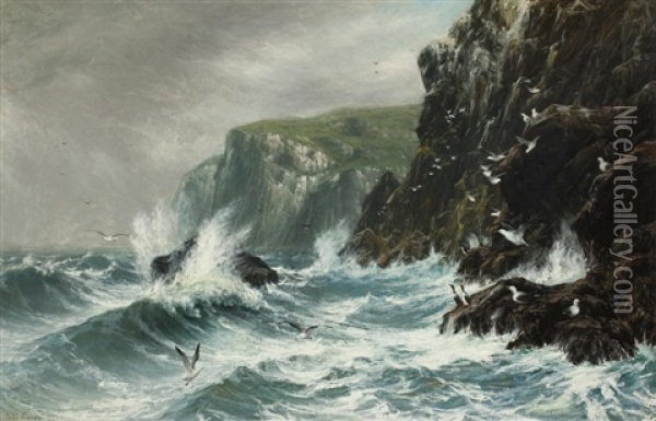 Seacliffs Oil Painting - Peter Graham