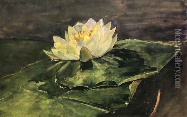 Water Lily Oil Painting - John La Farge