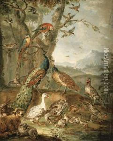 And Peahen, Parrots And Other Fowl With Goats In A Landscape Oil Painting - Angelo Maria Crivelli, Il Crivellone