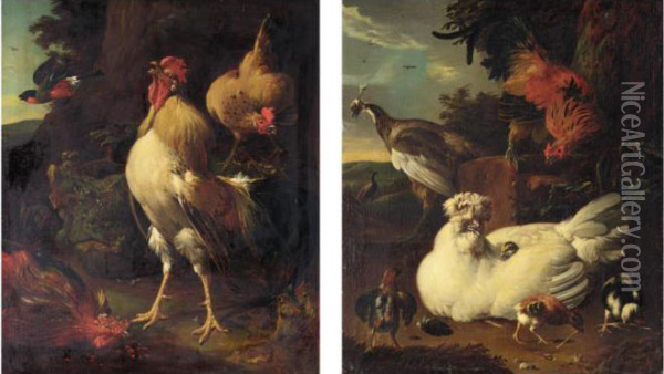 A Triumphant Cockerel Crowing Over His Victory; A Chicken And A Pea-hen In A Landscape Oil Painting - Giovanni Bonami