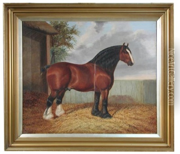 Study Of A Bay Shire In A Farmyard; And Study Of A Dark Bay Shire Horse In A Farmyard Oil Painting - Albert Clark