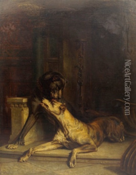 Two Dogs In An Interior Oil Painting - Pietro Morgari