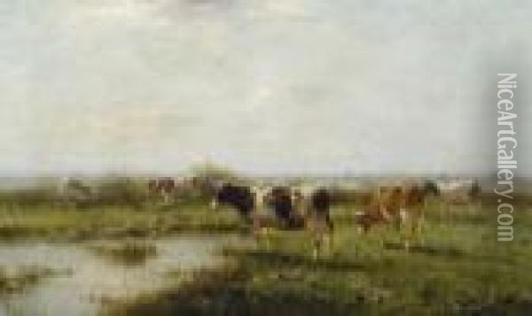 Weidende Kuhe. 1895. Oil Painting - Cornelis I Westerbeek