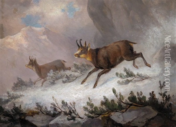Zwei Gemsen Im Hochgebirge Oil Painting - Franz Xaver von Pausinger