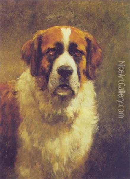A St. Bernard Dog Oil Painting - Otto Eerelman