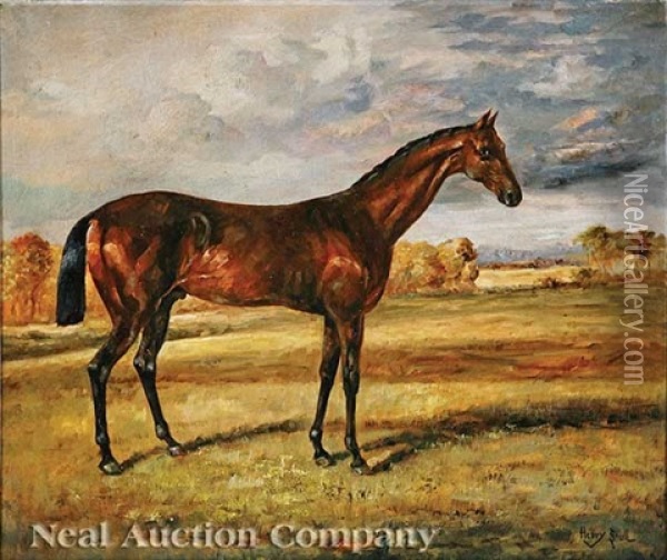 An Arabian Thoroughbred Racehorse Oil Painting - Henry Stull