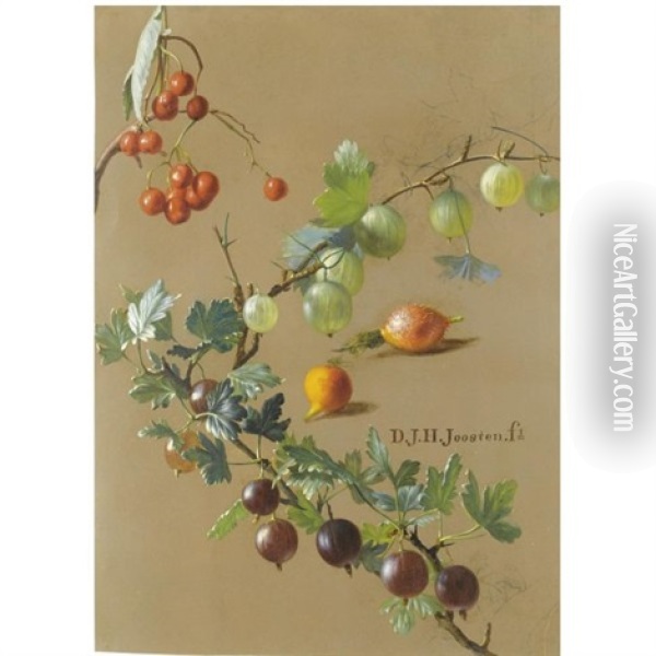 Gooseberries, Currants And Rosehips (study) Oil Painting - Dirk Jan Hendrik Joosten