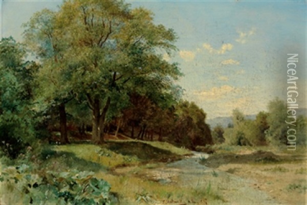 Landschaft In Niederosterreich Oil Painting - Ludwig Georg Eduard Halauska