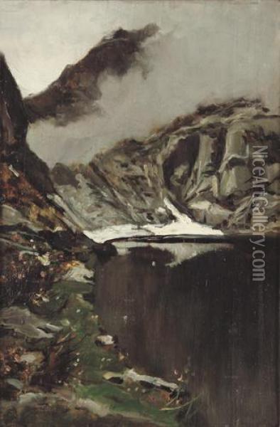 Lago Del Mucrone Oil Painting - Giuseppe Augusto Levis