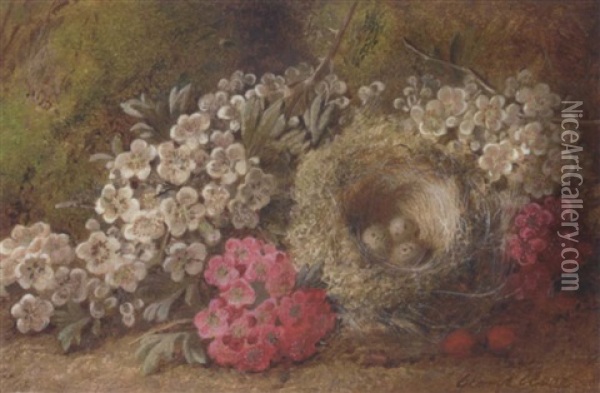 May Blossom, Berries And A Bird's Nest With Eggs On A Mossy Bank Oil Painting - George Clare