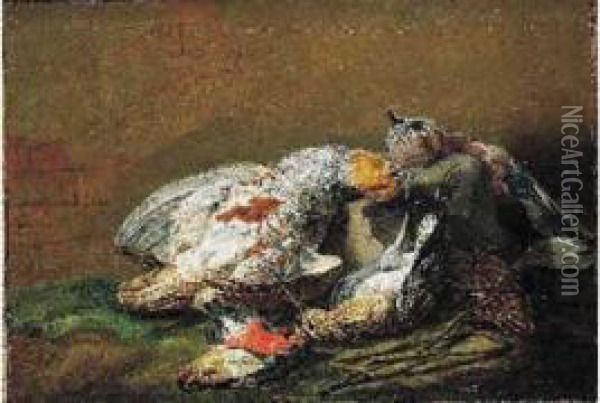 Perdreau Gris, Caille Et Geai Sur Un Entablement Oil Painting - Peeter Boel