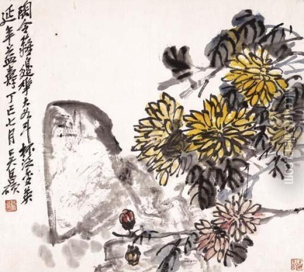 Chrysanthemum And Rock Oil Painting - Wu Changshuo