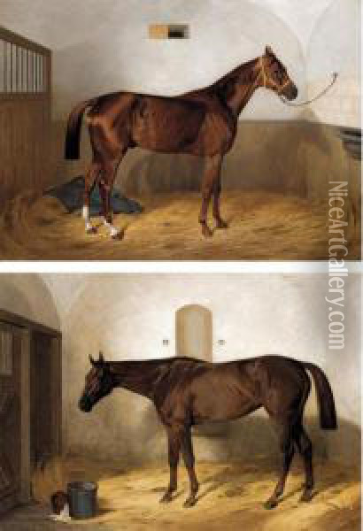 Portrait Of A Race Horse In A Stable Oil Painting - Emil Adam