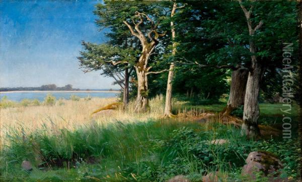 Acalm Summer Day Oil Painting - Axel Hjalmar Lindqvist