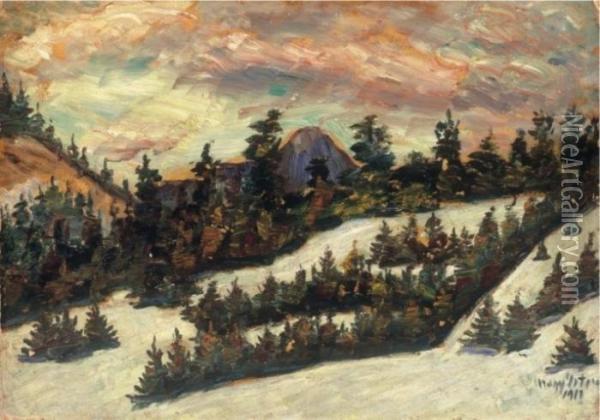 Pine Forest Oil Painting - Istvan Nagy