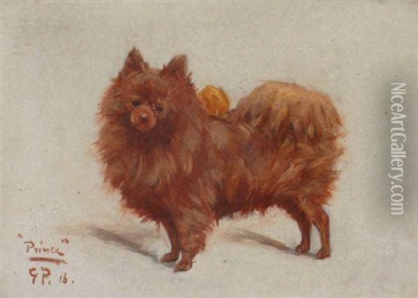 Prince, A Pomeranian Oil Painting - George Paice