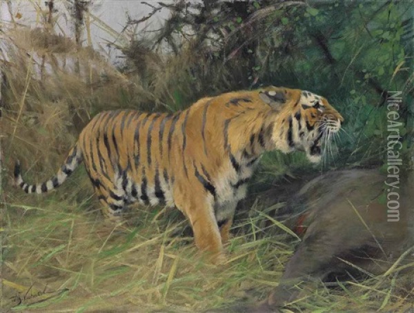 Tiger And Its Prey Oil Painting - Wilhelm Friedrich Kuhnert