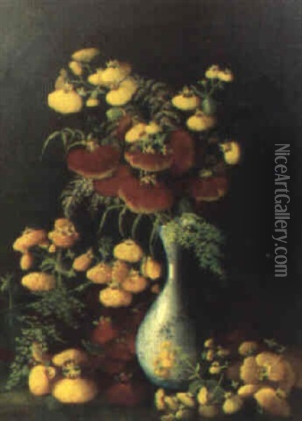 Calceo Laria (toffelblommor I Vas) Oil Painting - Sophie Marr