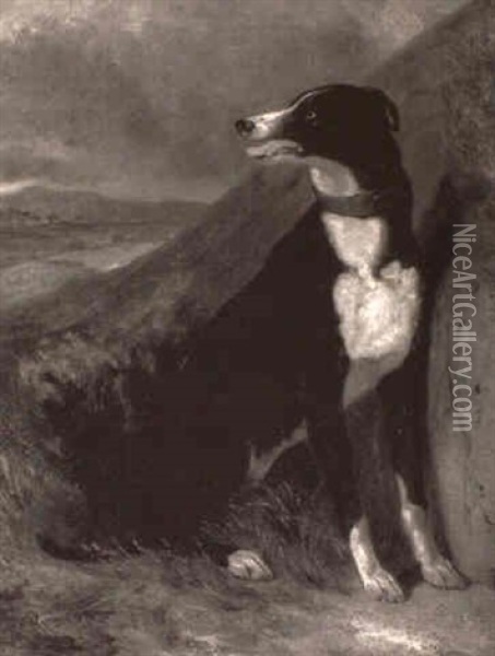 Eso, An Italian Greyhound Oil Painting - Sir Edwin Henry Landseer