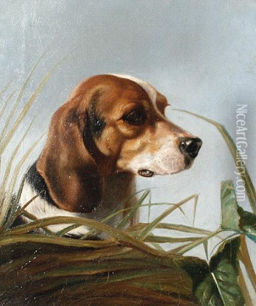 A Beagle Oil Painting - George Earl