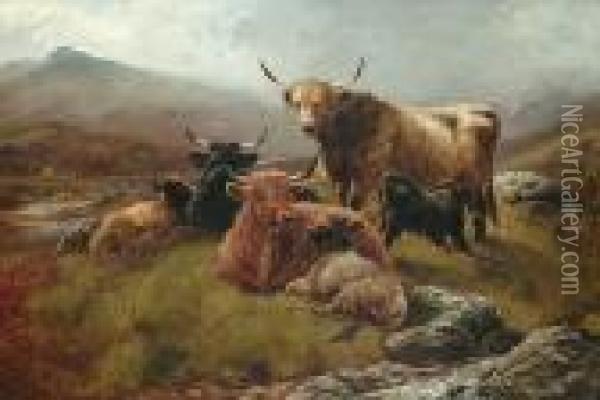 Highland Cattle And Calves In A Landscape Oil Painting - Robert Watson