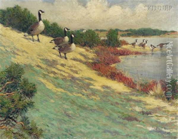 Geese At Eastham Oil Painting - Dwight Blaney