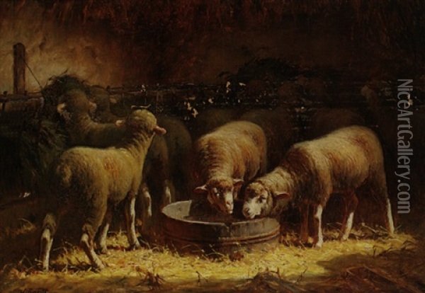 Schafe Im Stall Oil Painting - Jules Ramet