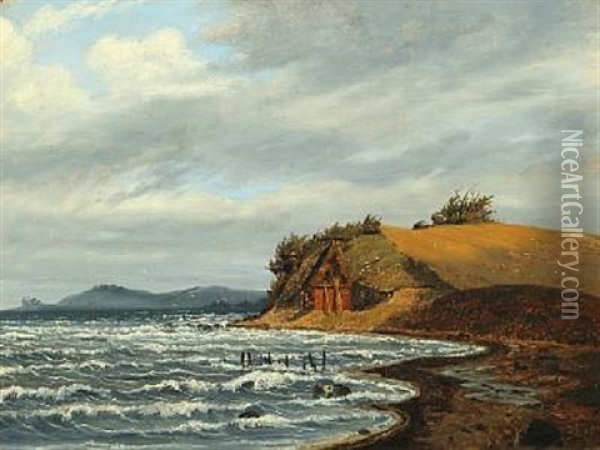 Kyst Ved Limfjorden Oil Painting - Janus la Cour