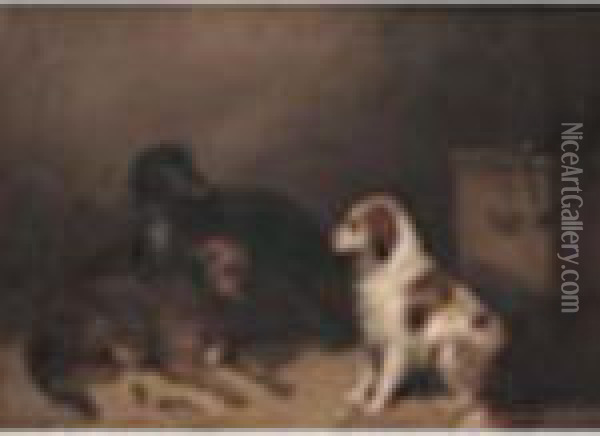 Three Spaniels In An Interior Oil On Canvas 12 X 16in Oil Painting - George Armfield