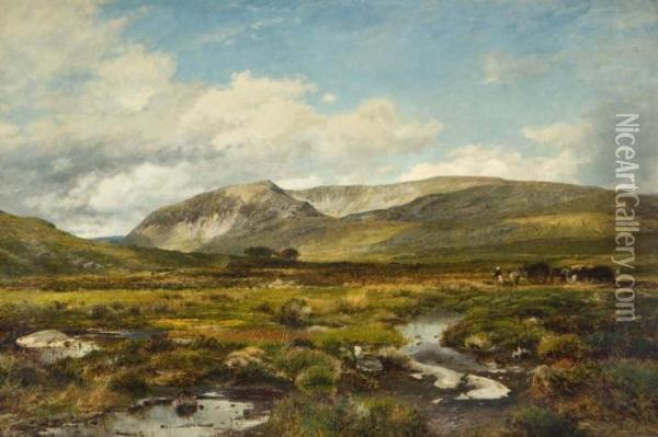 In The Ogwen Valley Wales. Oil Painting - David Bates