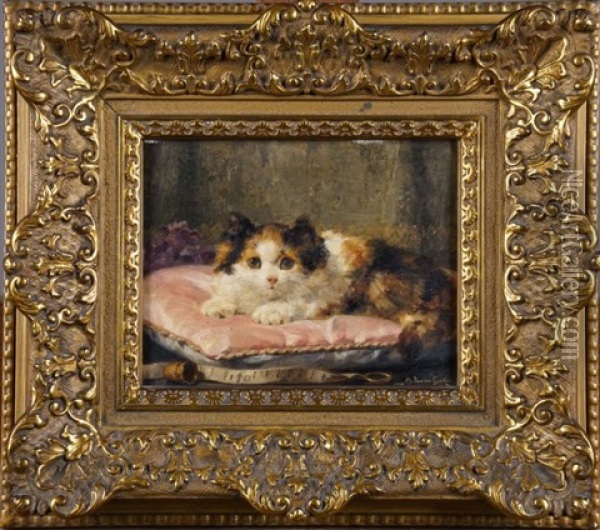 Chaton Au Coussin Rose (date 1917) Oil Painting - Charles van den Eycken