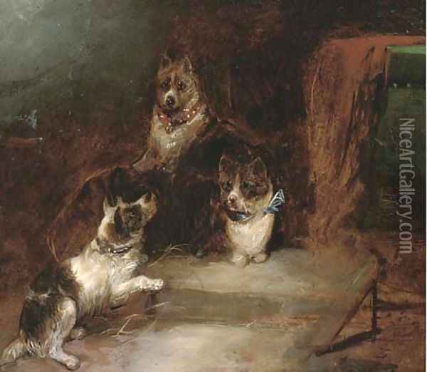 Terriers in a barn Oil Painting - George Armfield