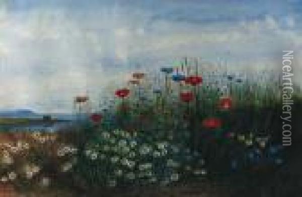A Coastal Landscape With Poppies, Cornflowers, Daisies And Grassesin The Foreground Oil Painting - Andrew Nicholl