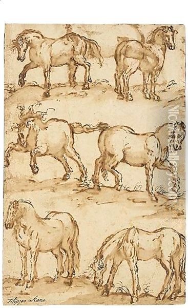 Six Studies Of Horses Oil Painting - Filippo Napoletano