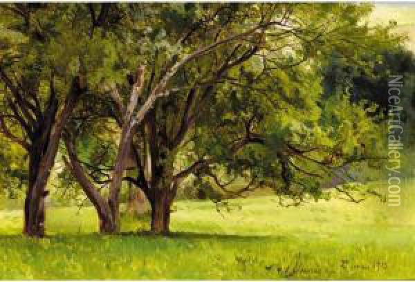 Trees In Summer Oil Painting - Andrei Nikolaevich Shilder