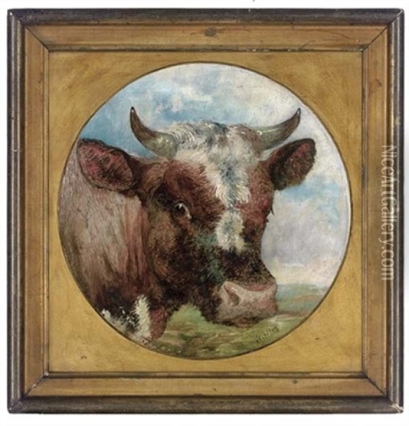 Study Of A Cow's Head Oil Painting - William Huggins