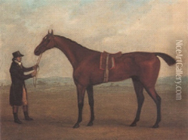 Champion, A Bay Racehorse, Held By A Groom Oil Painting - John Nost Sartorius