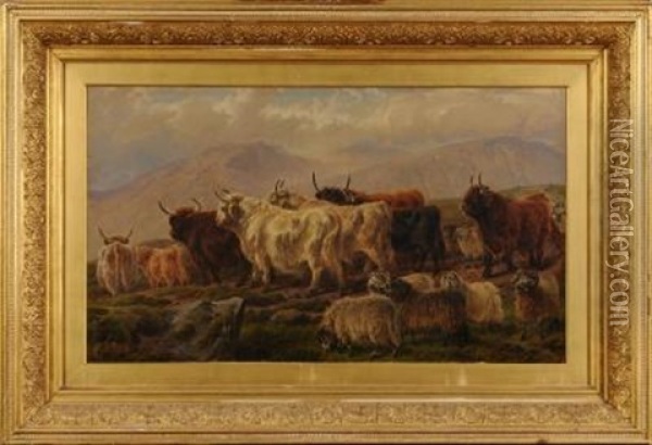 Highland Cattle And Sheep In An Upland Landscape Oil Painting - Charles Jones