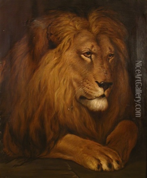 A Lion Oil Painting - Herbert Thomas Dicksee