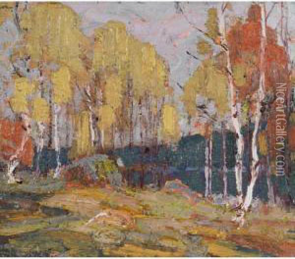 Fall Woods, Algonquin Park Oil Painting - Tom Thomson
