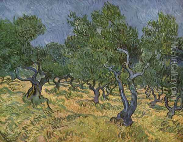 Plantation d'oliviers 1 1889 Oil Painting - Vincent Van Gogh