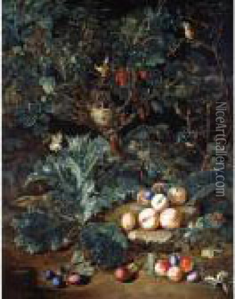 A Forest Floor With Peaches And 
Plums Arranged On Stony Ground Below A Small Tree Filled With A Bird's 
Nest And Berries Oil Painting - Pieter Snyers