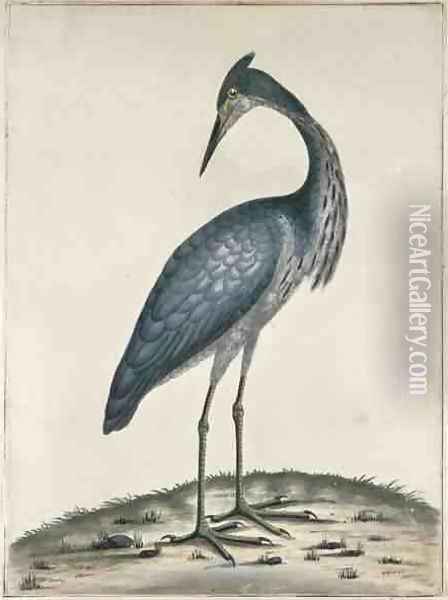 A Heron Oil Painting - William Hayes