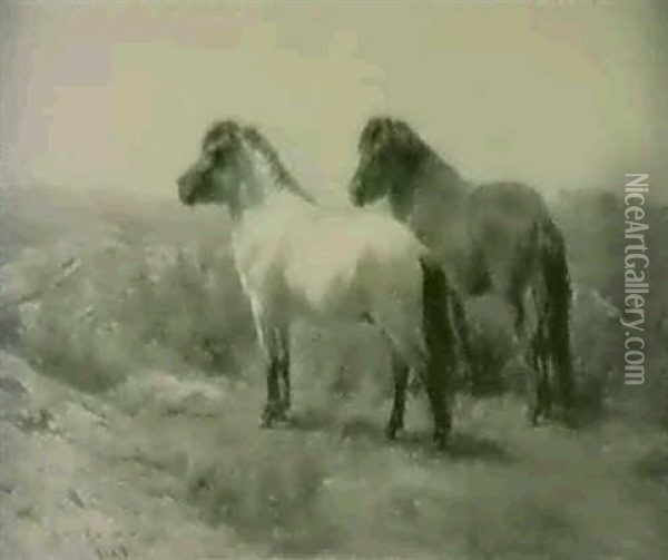 Highland Ponies Oil Painting - Rosa Bonheur