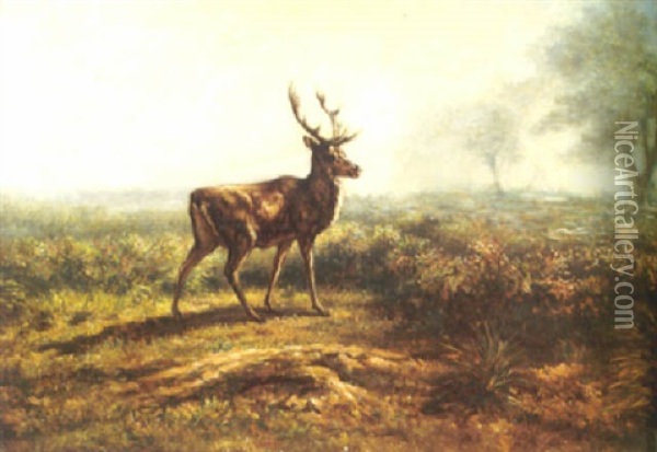 A Stag In A Landscape, Early Morning Oil Painting - Rosa Bonheur
