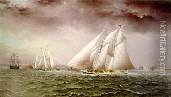 Schooner Race In New York Harbor Oil Painting - James Edward Buttersworth