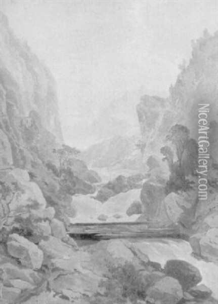 Alpenlandschaft Mit Wildbach Oil Painting - Friedrich Johann C.E. Preller the Elder