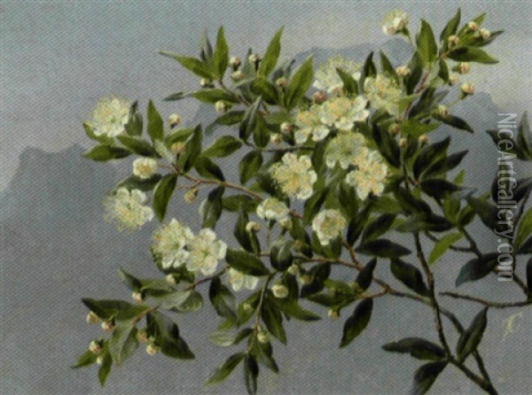Blomstrende Frugtgren, I Baggrunden Blanende Bjerge Oil Painting - Anthonie Eleonore (Anthonore) Christensen