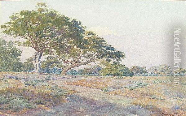 Oak Knoll, Tournament Park, Pasadena Oil Painting - Norman Saint-Clair