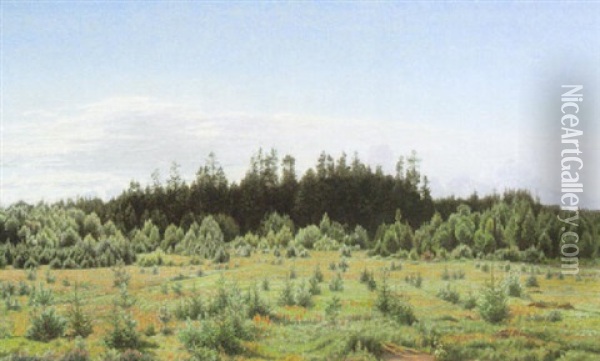Blick Auf Besonnte Sommerliche Schonung Mit Waldhintergrund Oil Painting - Anton Thiele